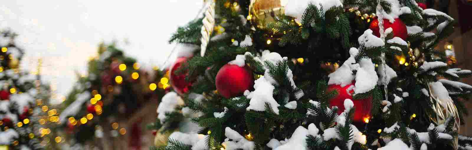 Weihnachten 2025/2026